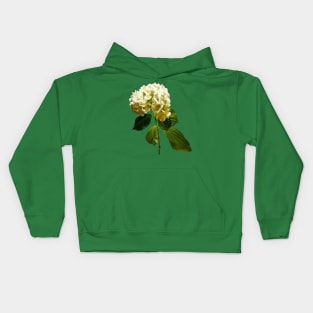 Hydrangeas - Single White Hydrangea Kids Hoodie